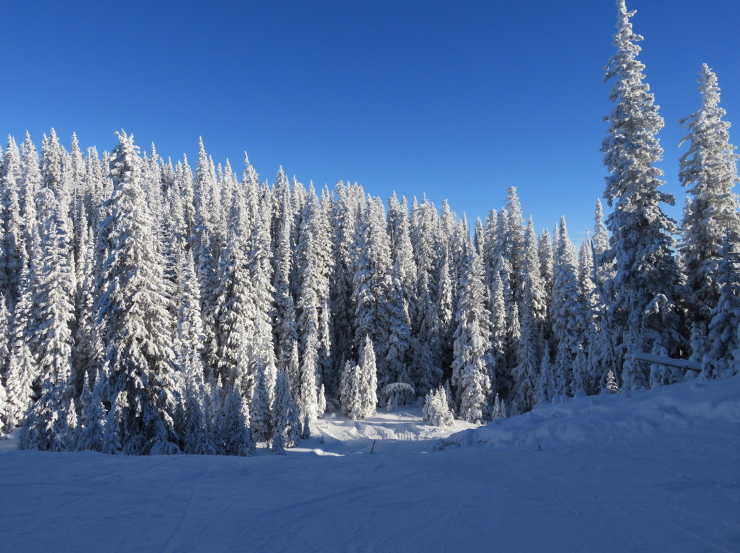 Purden Ski Village景点图片