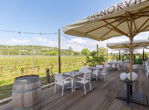 Signorvino Verona主图