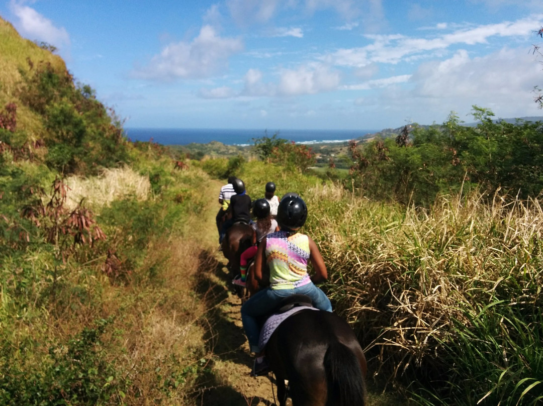 Caribbean International Riding Centre-Saint Andrew Parish必去景点