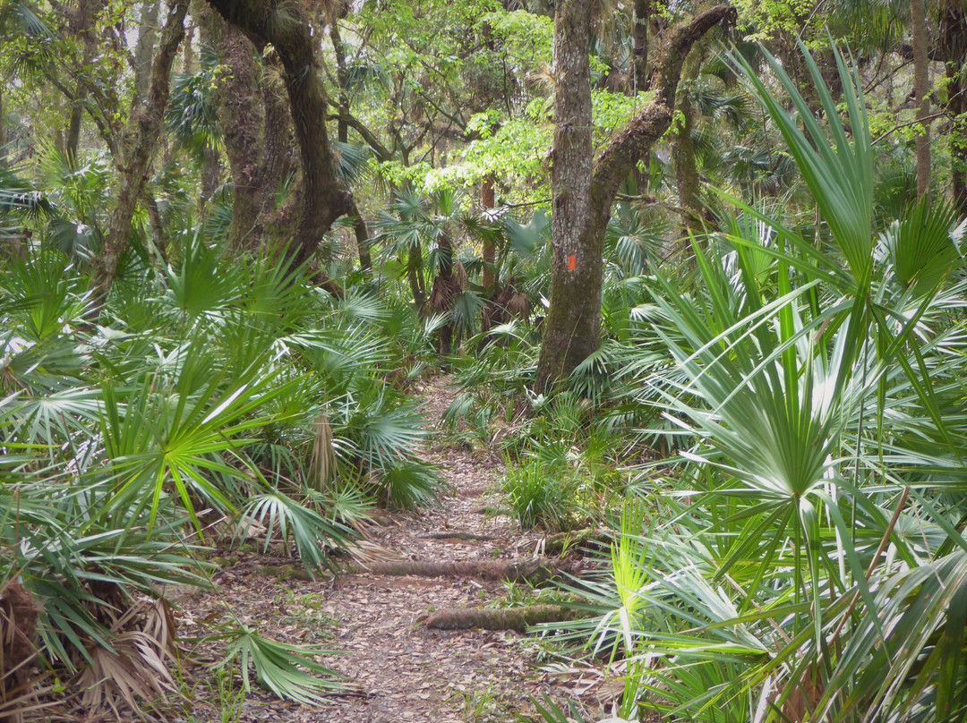 Barr Street Trailhead-Oviedo必去景点