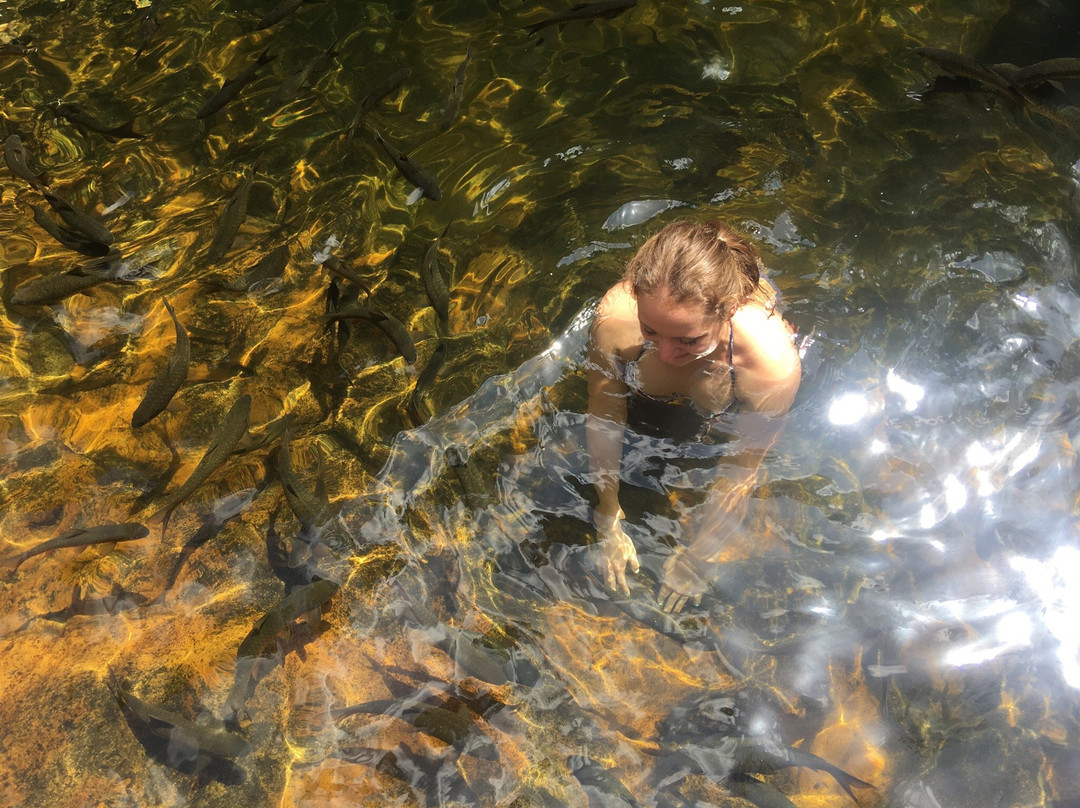 Klong Neung Waterfall景点图片