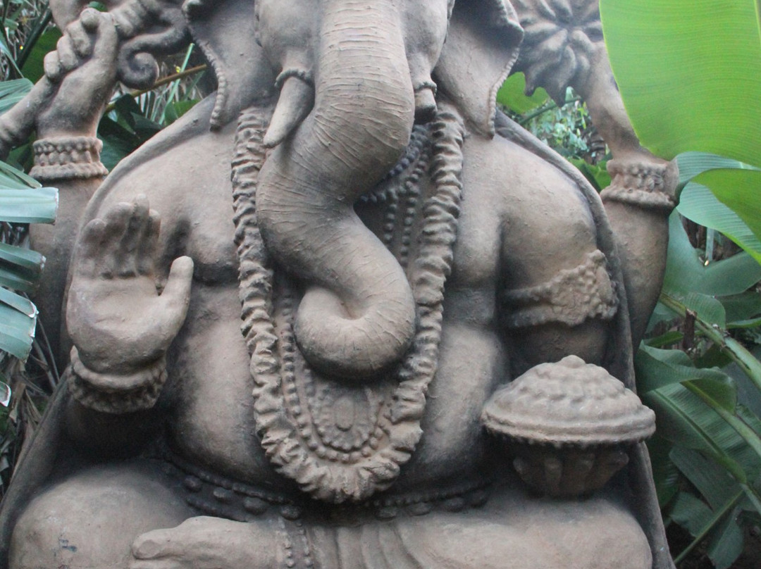 HOHM Yoga & Wellness Sanctuary-Umzumbe必去景点