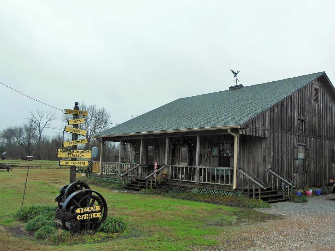 Natchitoches Pecans景点图片