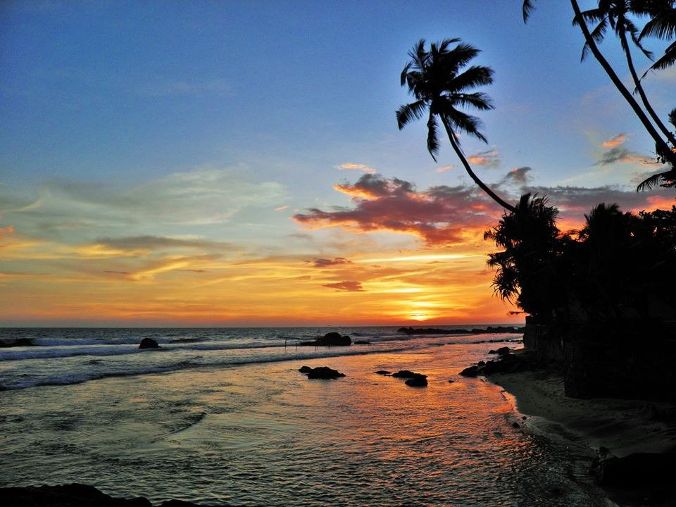 猫头鹰和猫咪酒店及餐厅