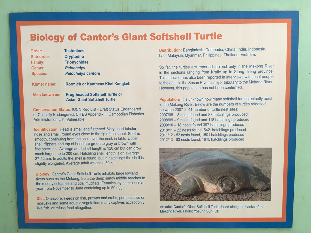 Mekong Turtle Conservation Center-Kratie必去景点
