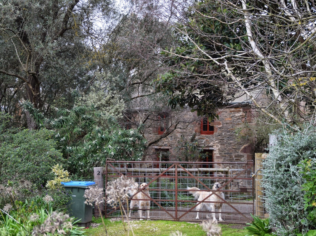 Nairne Mural and Historic Walk景点图片