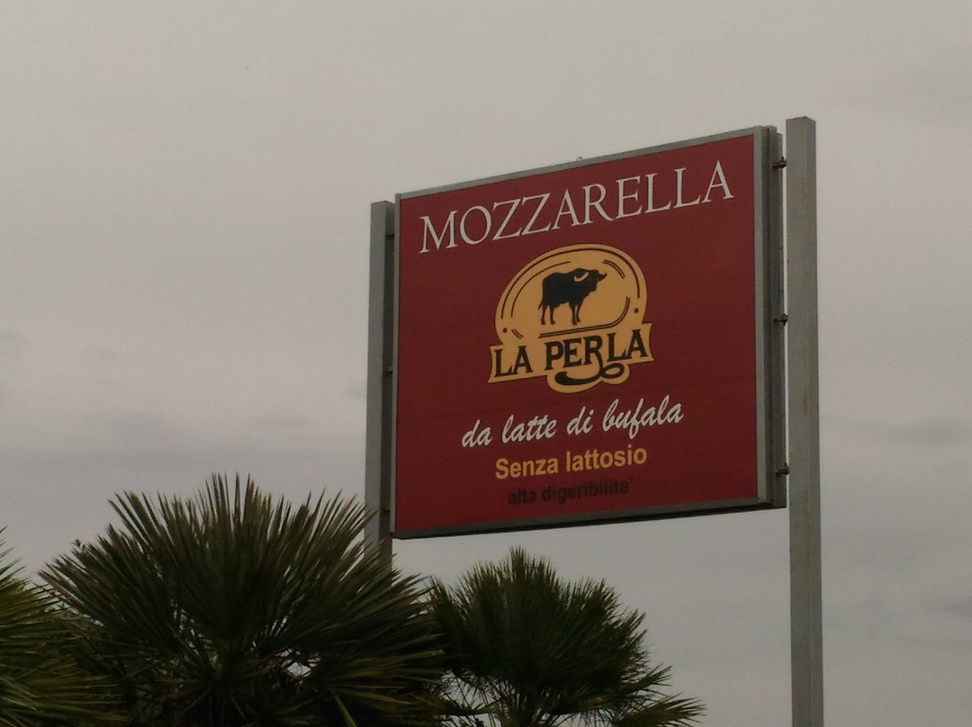 La Perla del Mediterraneo: Mozzarelle di Bufala景点图片
