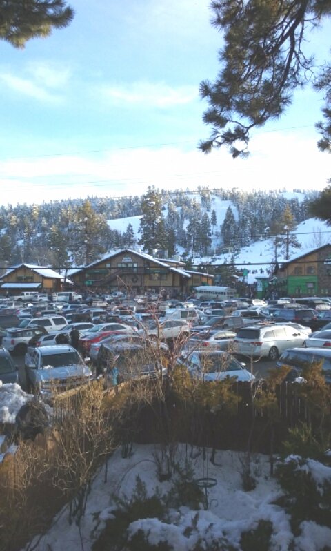 Switzerland Haus Bed & Breakfast Inn-酒店景观