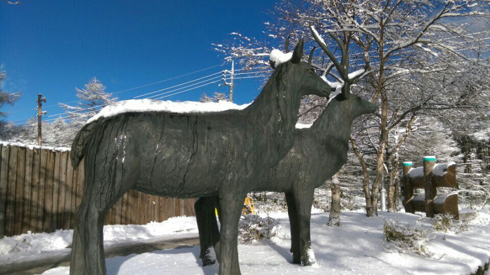 Asama 2000 Park-小诸市必去景点