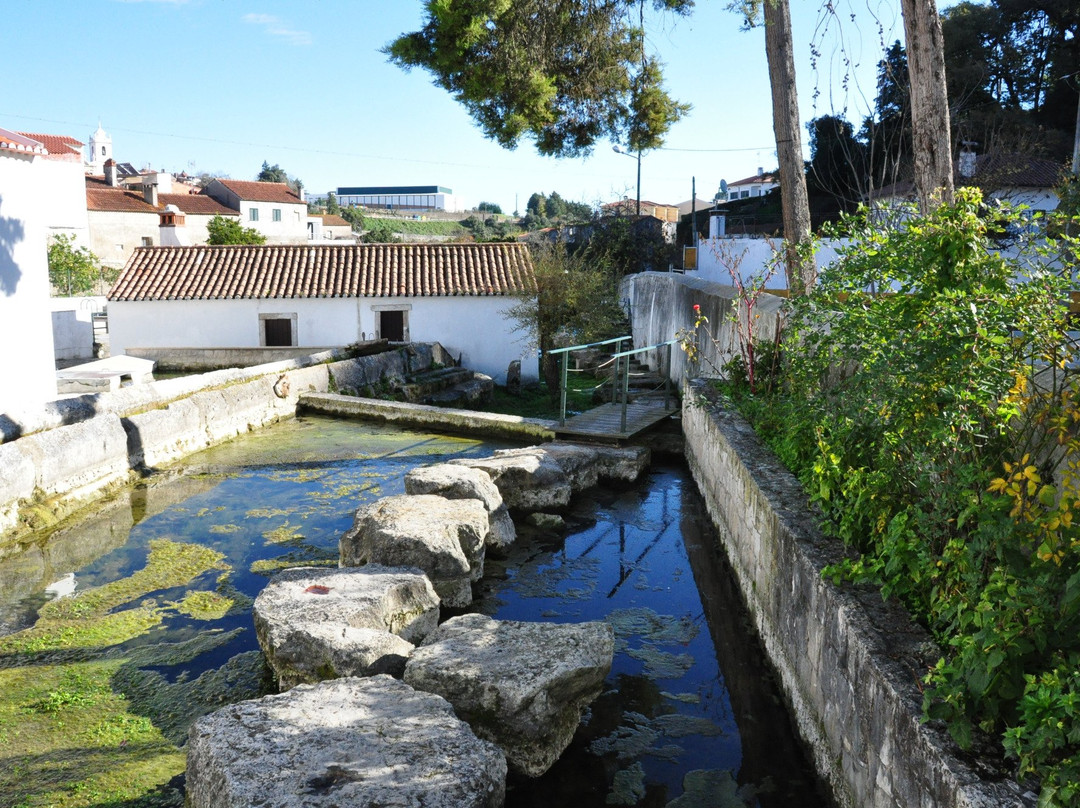 Piscina Natural de Ançã景点图片