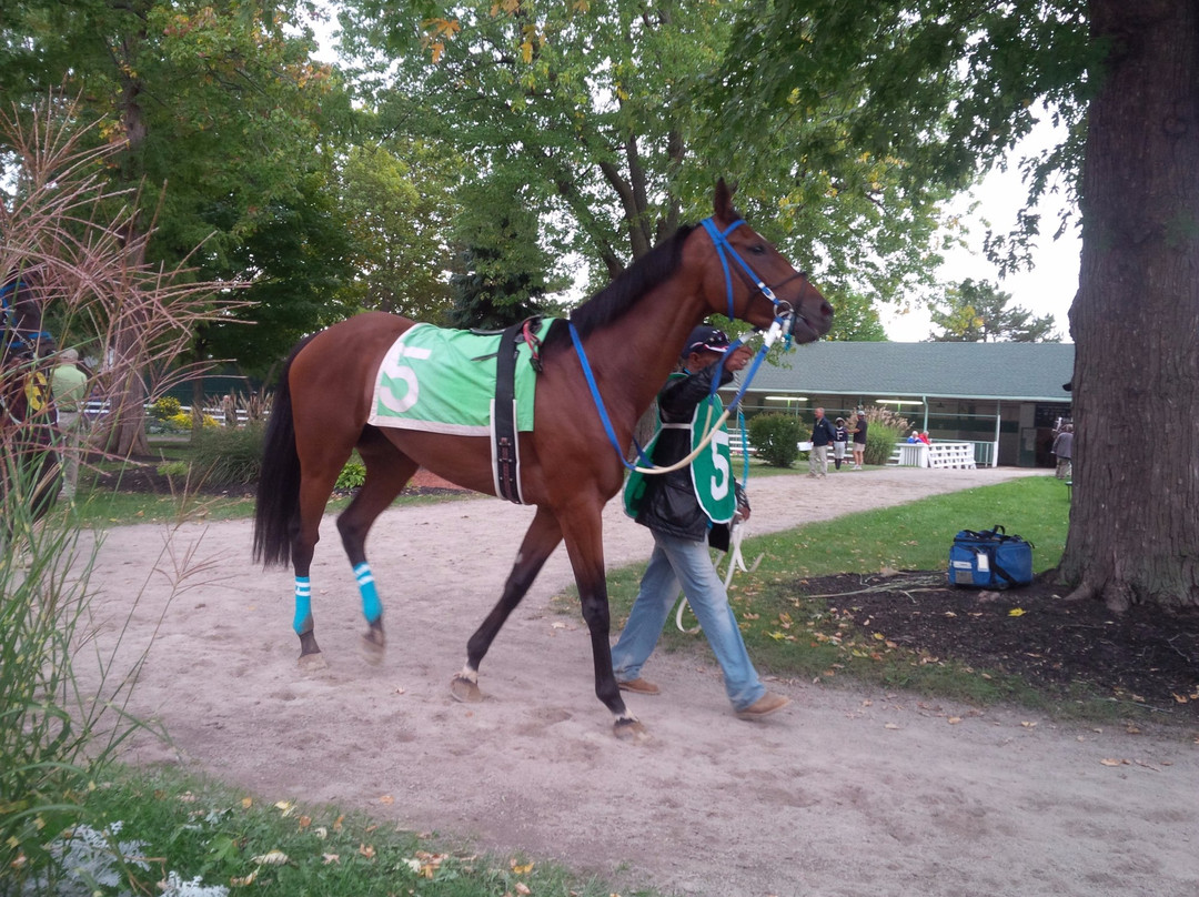 Fort Erie Race Track-Fort Erie必去景点
