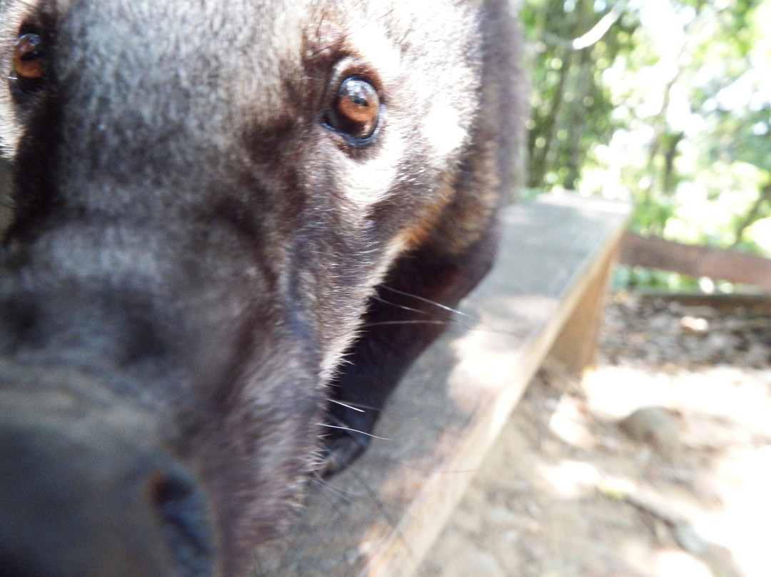 Parque Machia-Villa Tunari必去景点