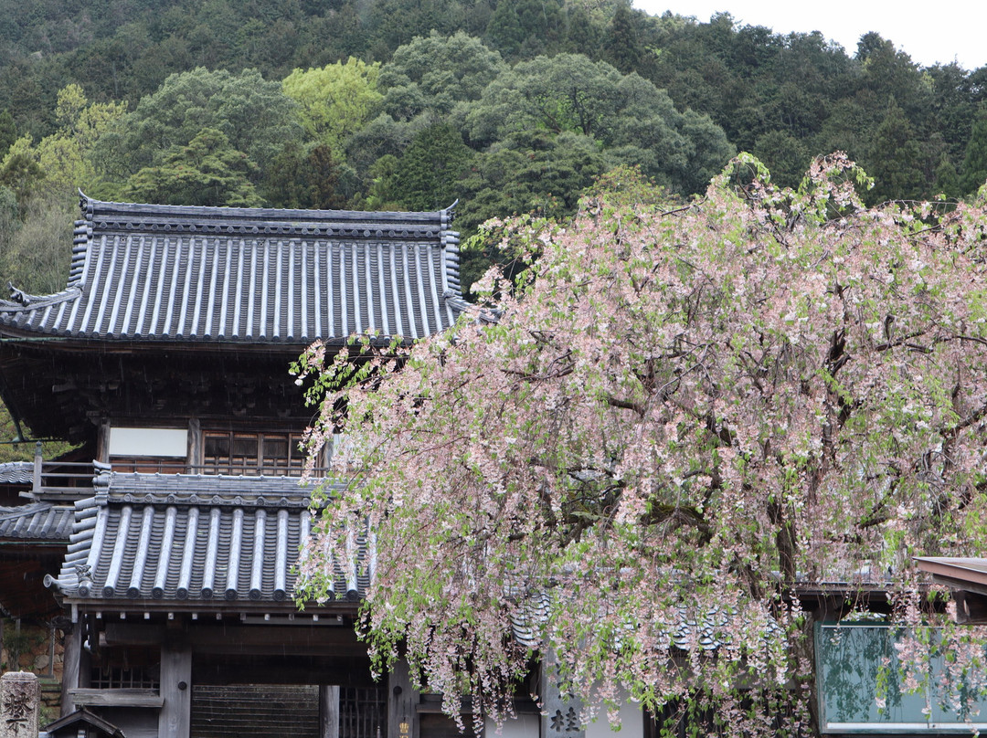 Keirinji Temple-舞鹤市必去景点