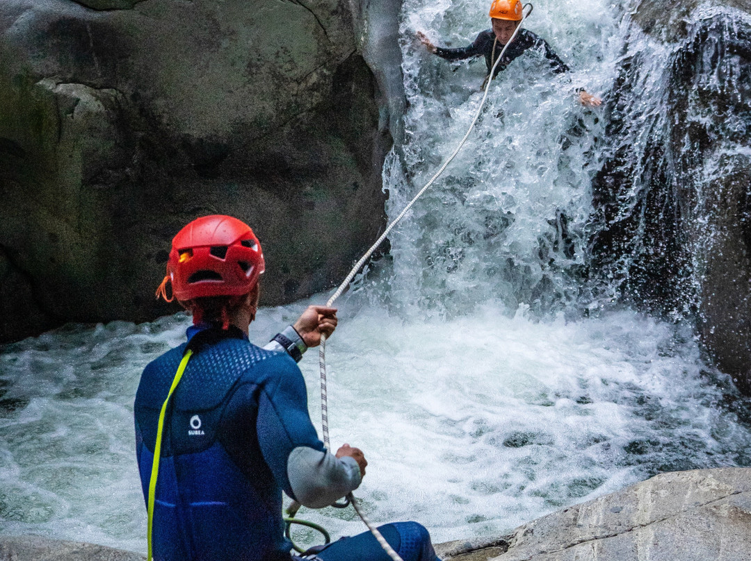 Eco Guias Colombia-San Carlos必去景点
