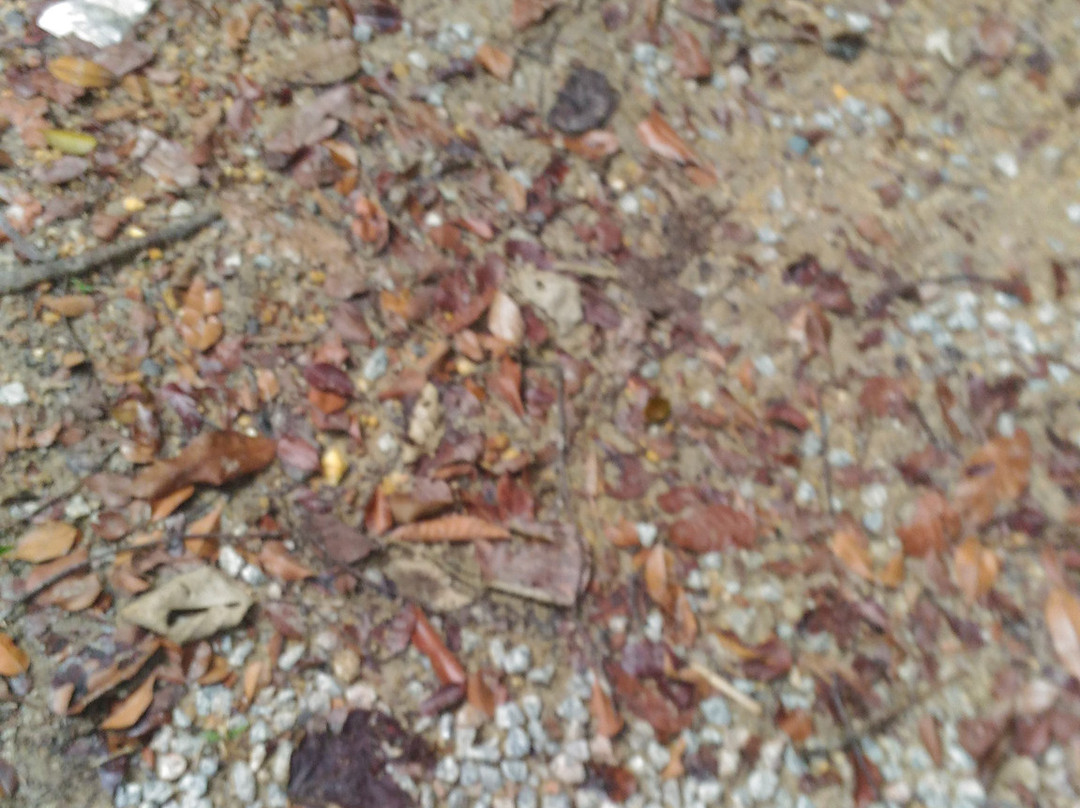 Kelulut Beach-马江必去景点