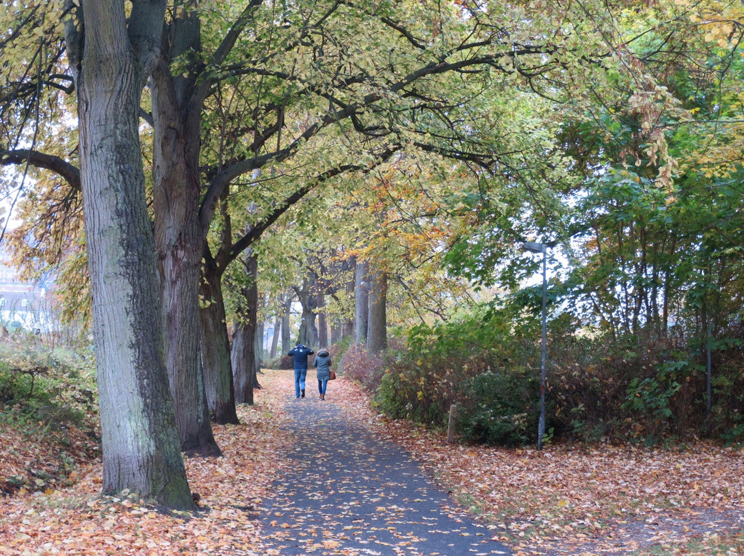 Byparken City Park, Roskilde-罗斯基勒必去景点
