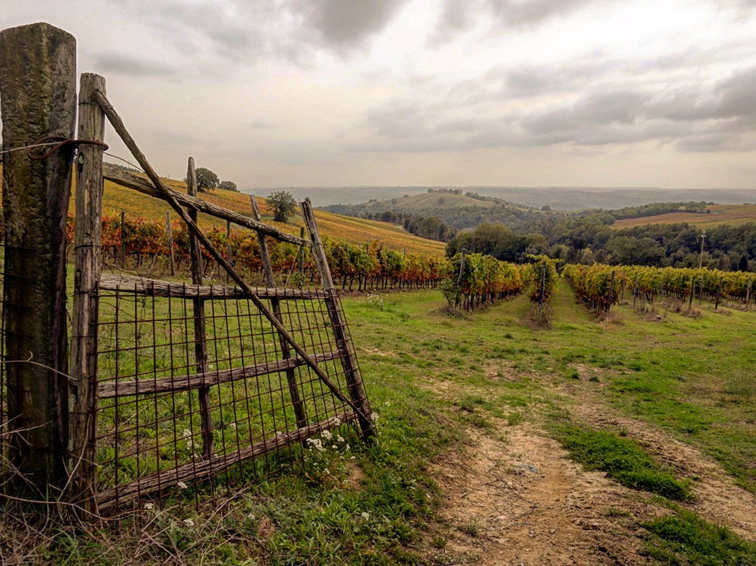 Castello di Corbara-奥尔维耶托必去景点
