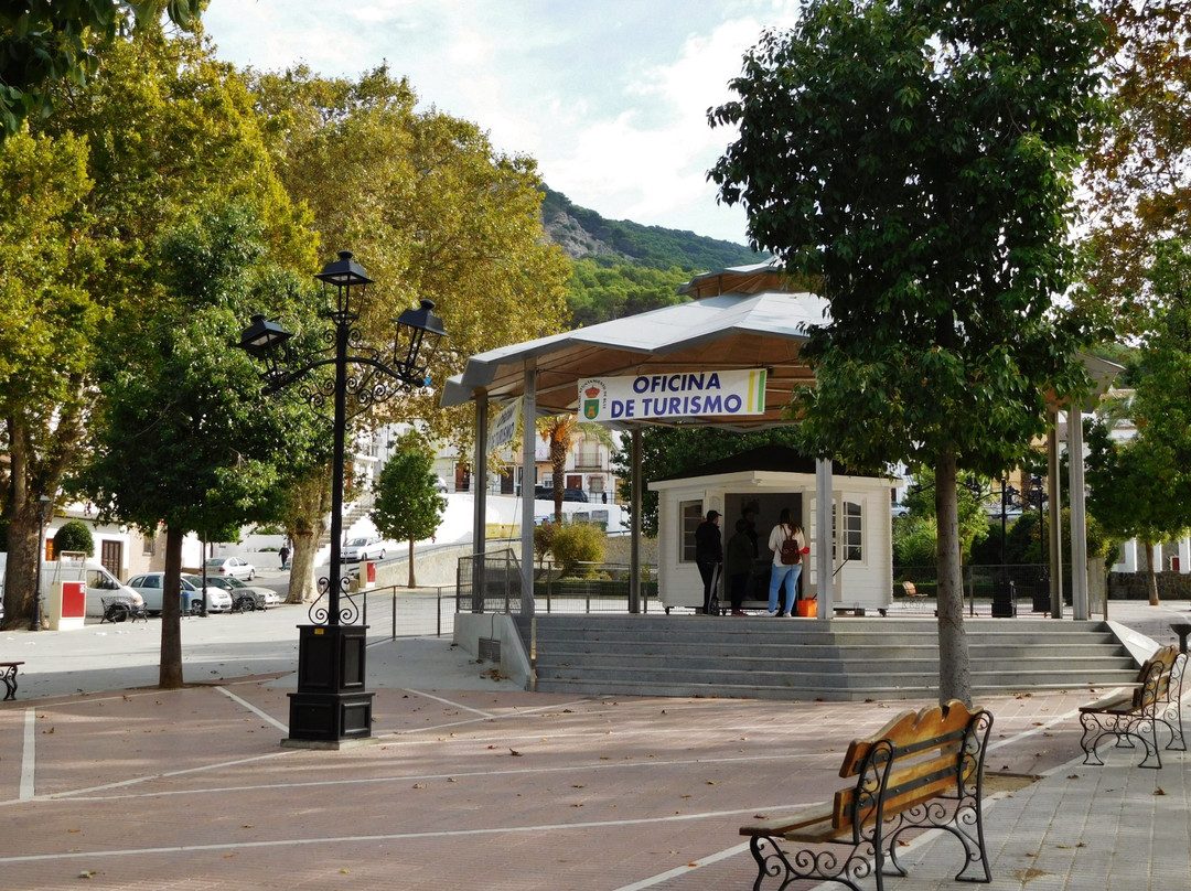 Calle Paseo del Fresno景点图片