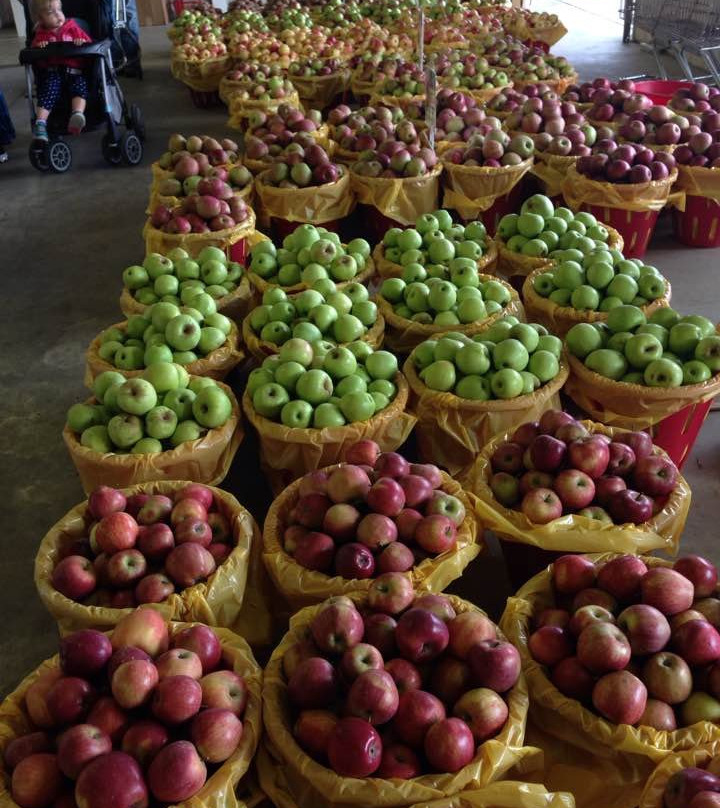 Strites Orchard-哈里斯堡必去景点