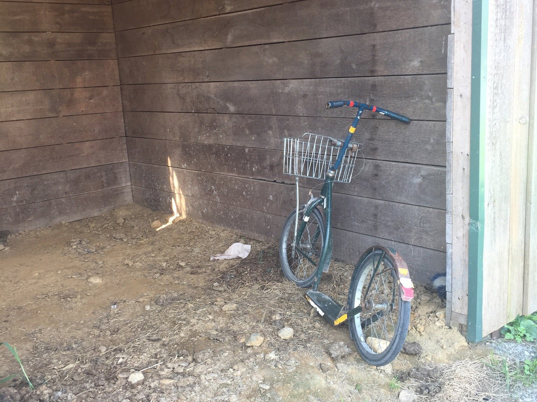 Old Order Amish Tours-Ronks必去景点