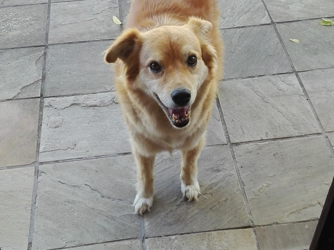 Serpentine Manor主图