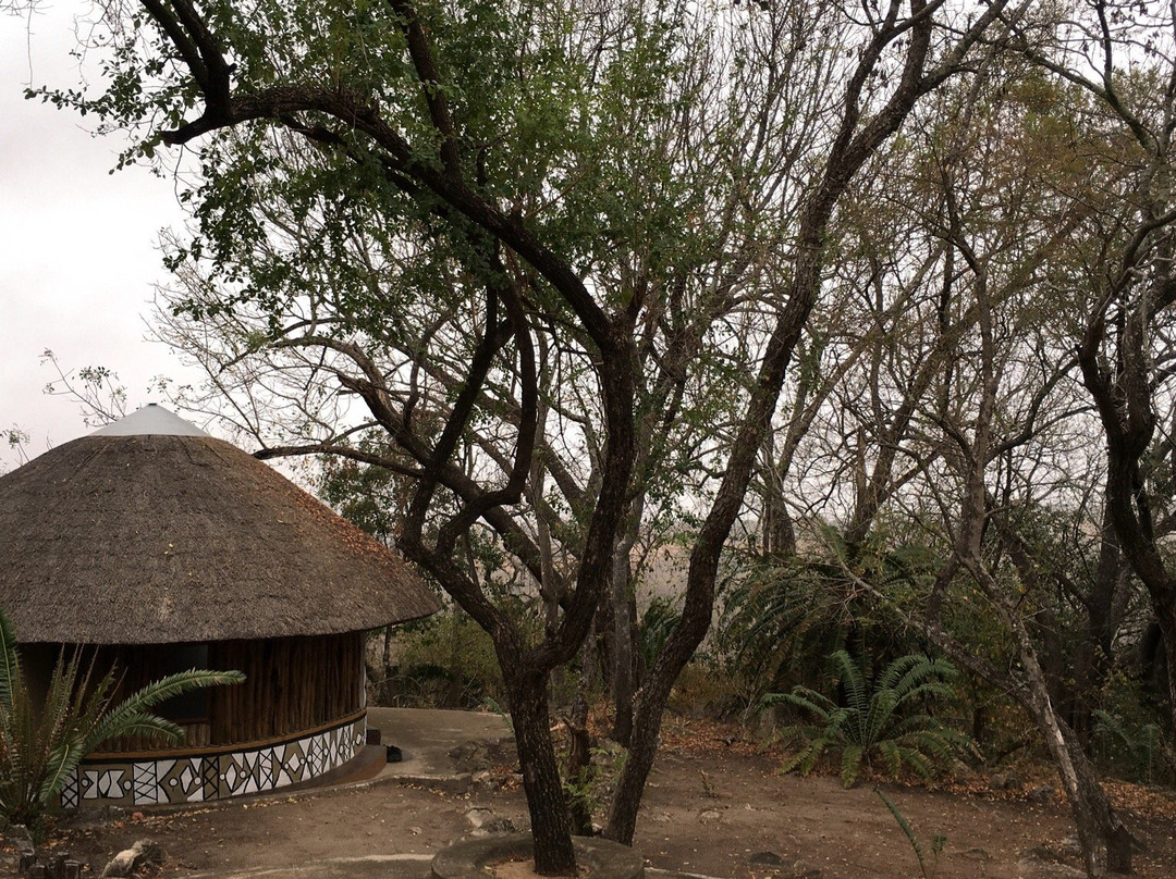 Modjadji Nature Reserve-Duiwelskloof必去景点