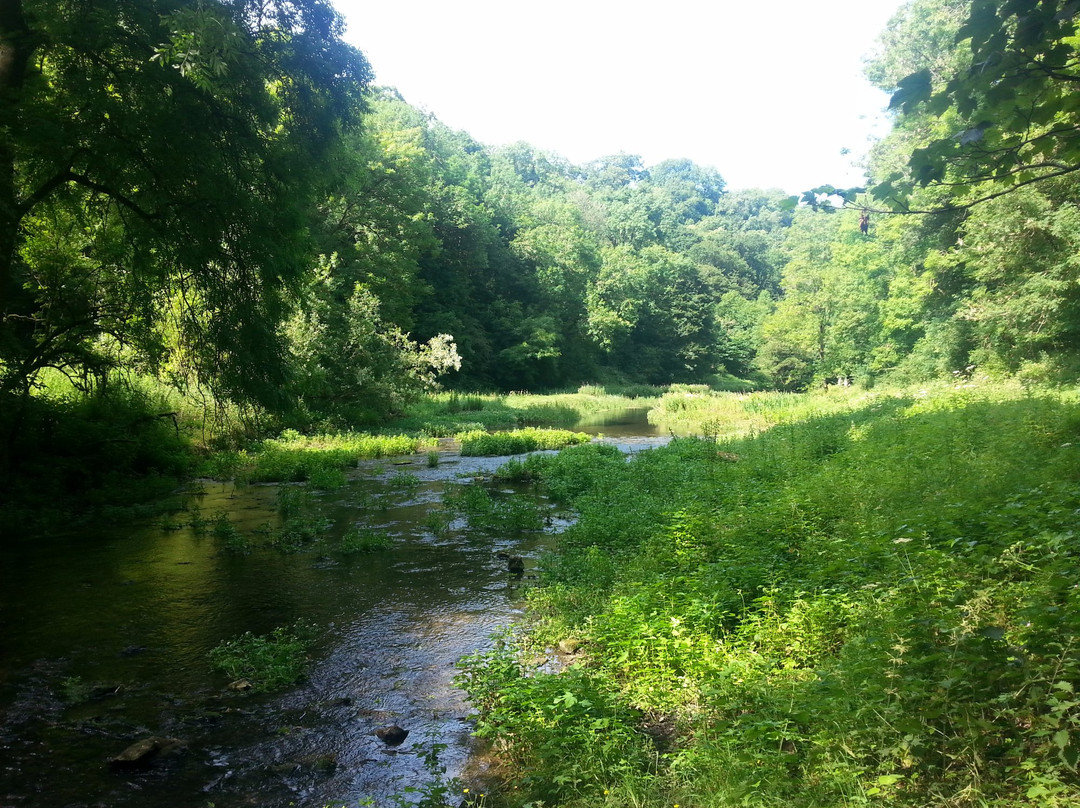 Limestone Way / Bradford River Walk景点图片