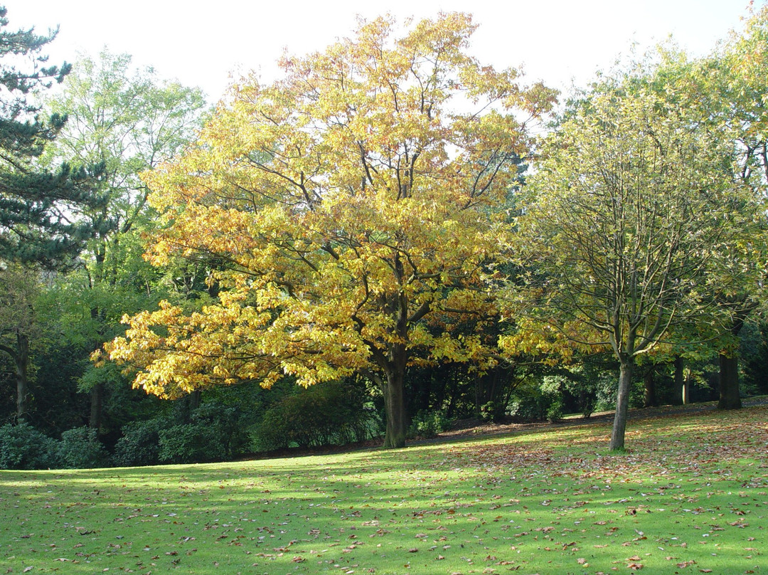 Howard Park-Glossop必去景点