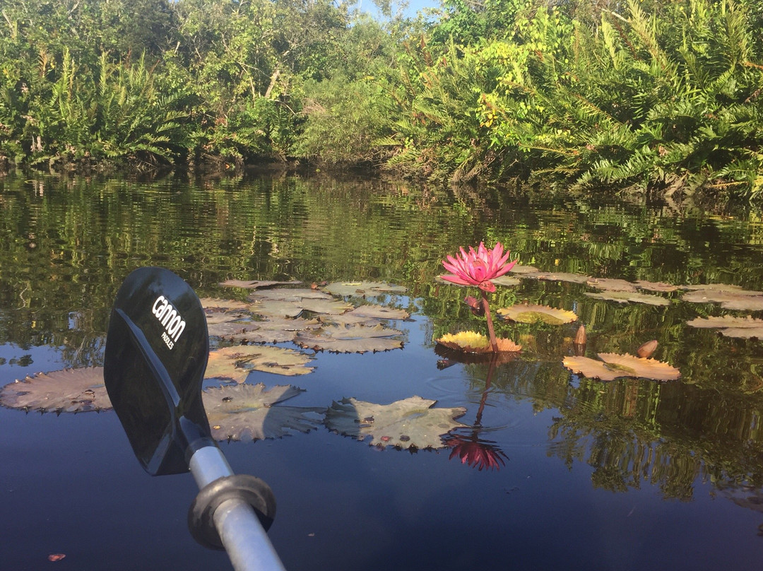 River Park Marina-圣露西港必去景点