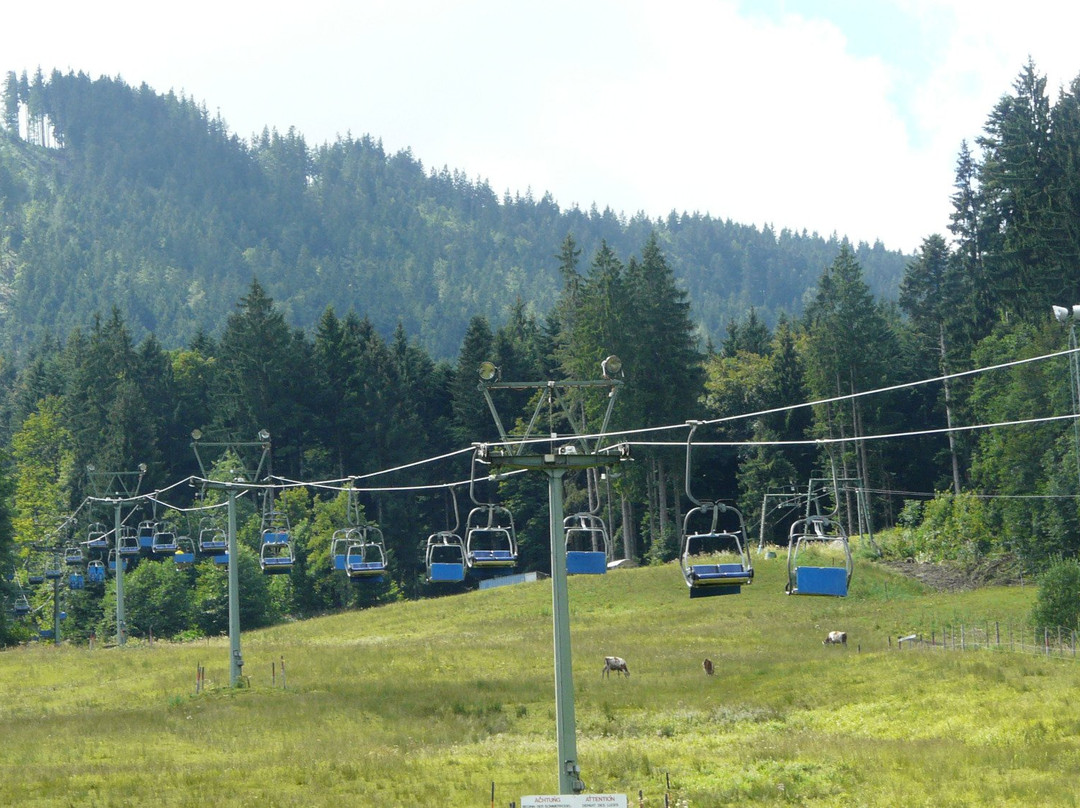 Kletterwald Blomberg景点图片