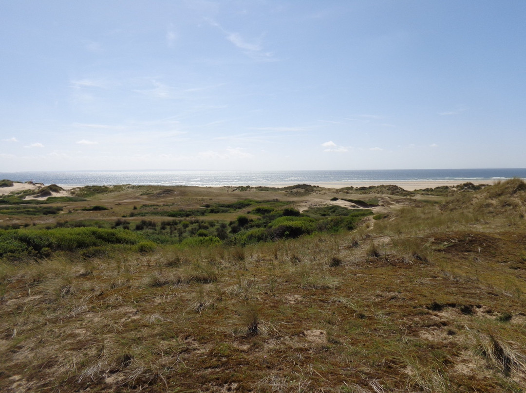 Dunes d'Hattainville景点图片