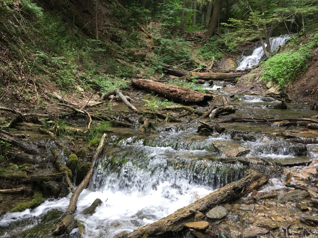 Weavers Creek Falls景点图片