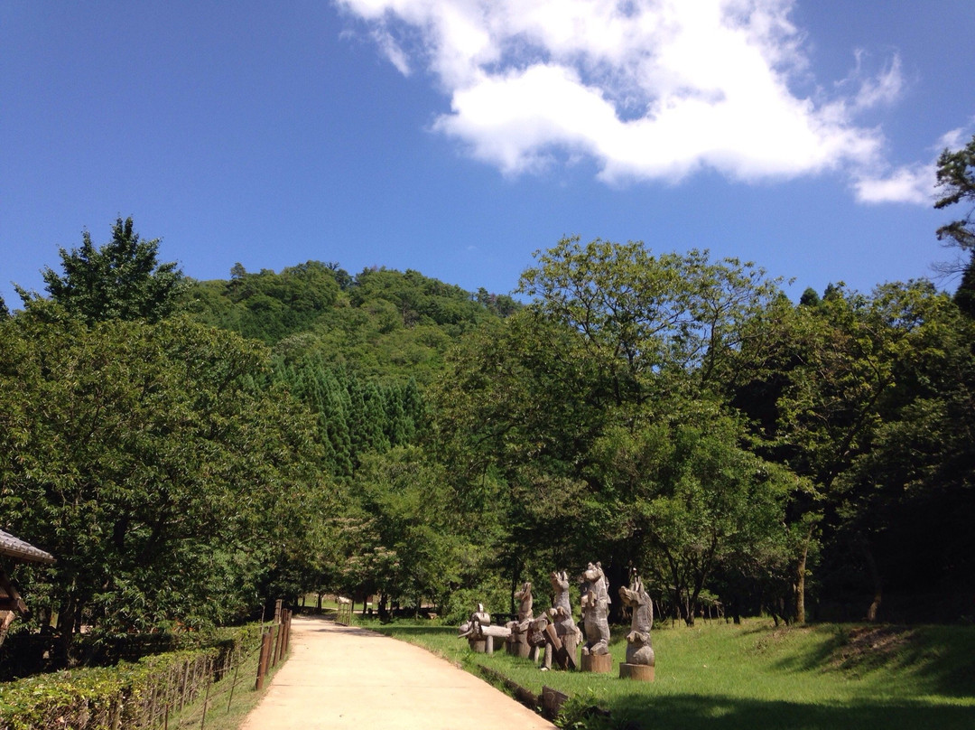 Sasayama no Mori Park-丹波篠山必去景点