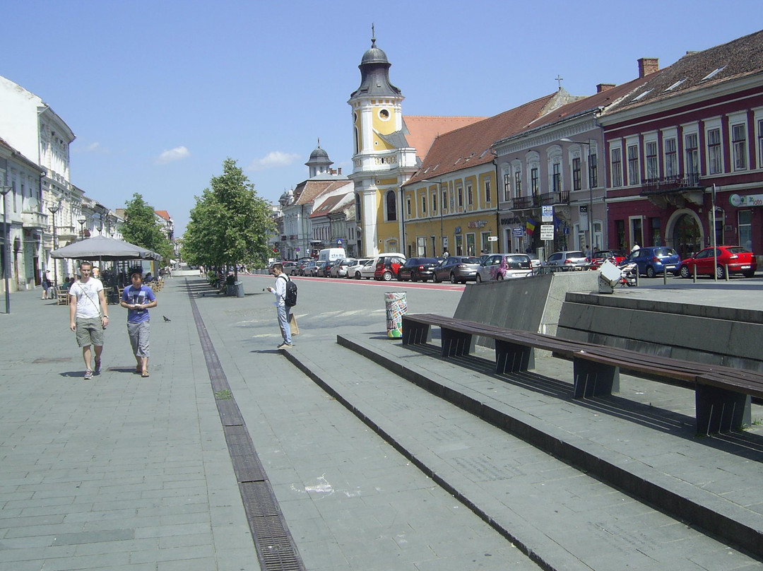 Avenue of Heroes in Cluj-Napoca (B-dul Eroilor)景点图片