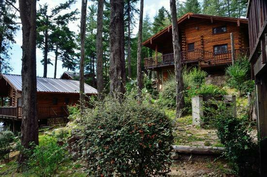 Cabanas Cerro Cumbrecita主图