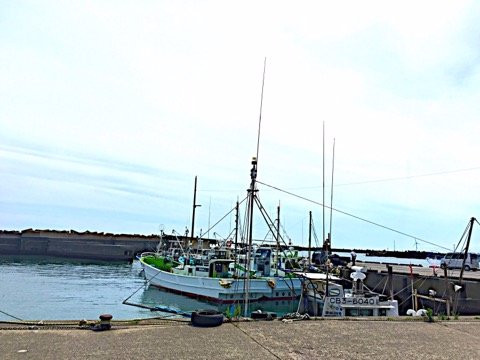 Choshi Fishing Port-铫子市必去景点