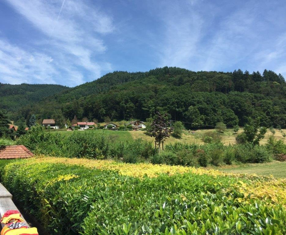 Campingplatz Muenstertal