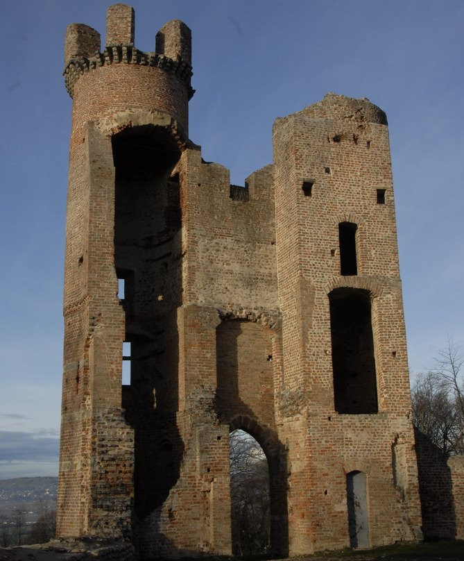 Chateau de Bressieux景点图片