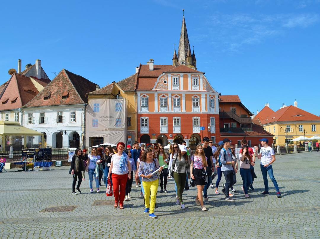 Sibiu Guide Nico景点图片