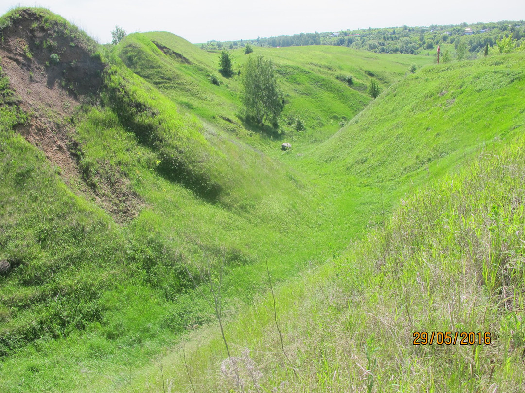 Hillfort Old Ryazan景点图片