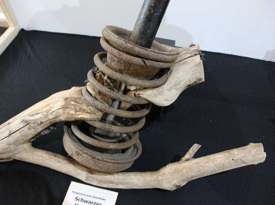 Holzmuseum-Murau必去景点