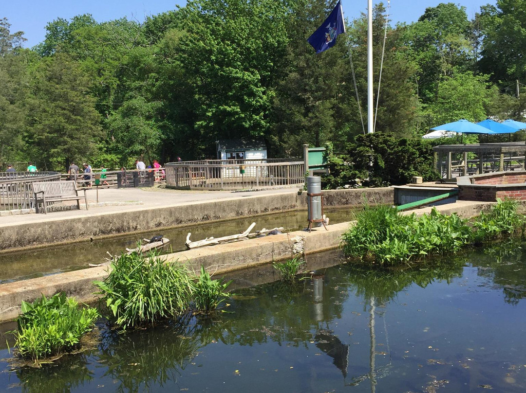 Cold Spring Harbor Fish Hatchery & Aquarium-Cold Spring Harbor必去景点