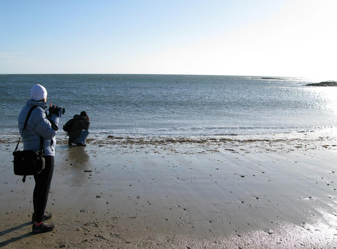 Northumberland Photo Training-阿尼克必去景点