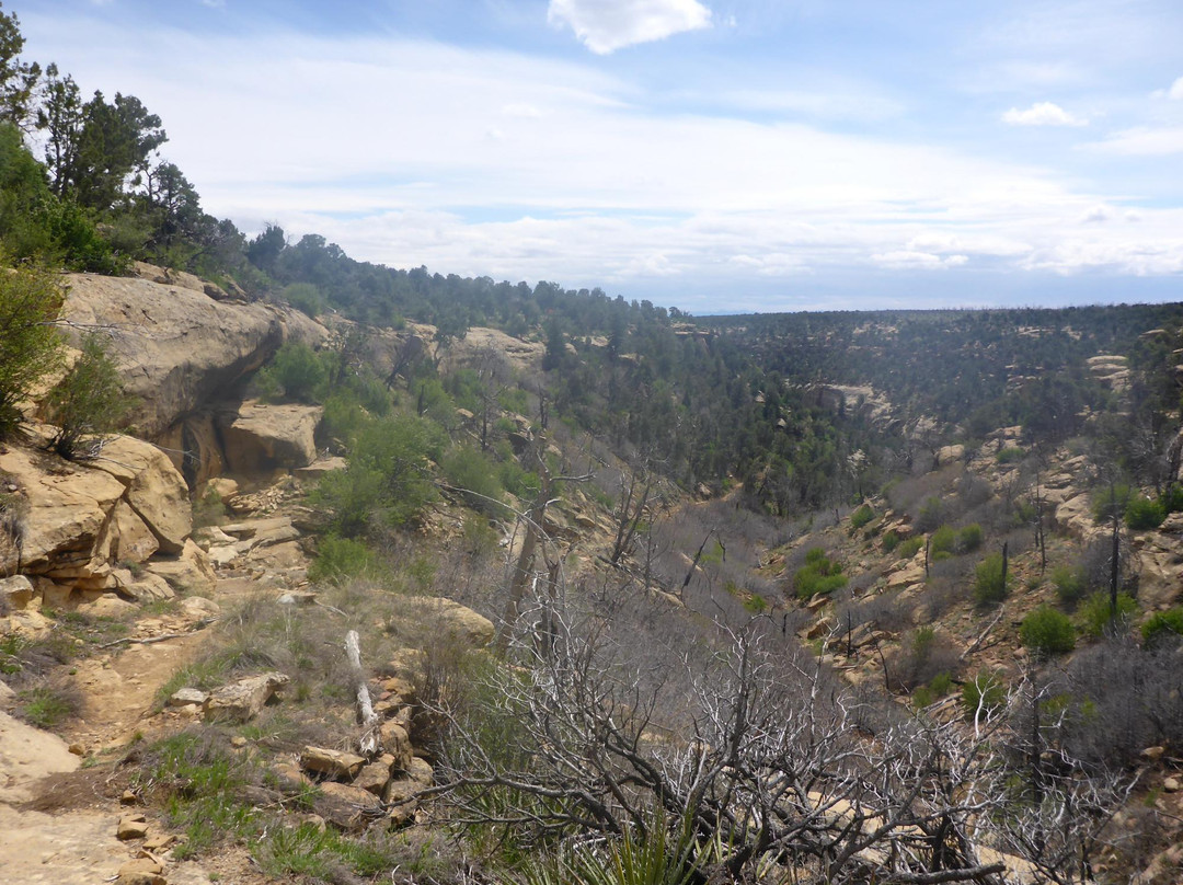 Spruce Canyon Trail-梅萨维德国家公园必去景点