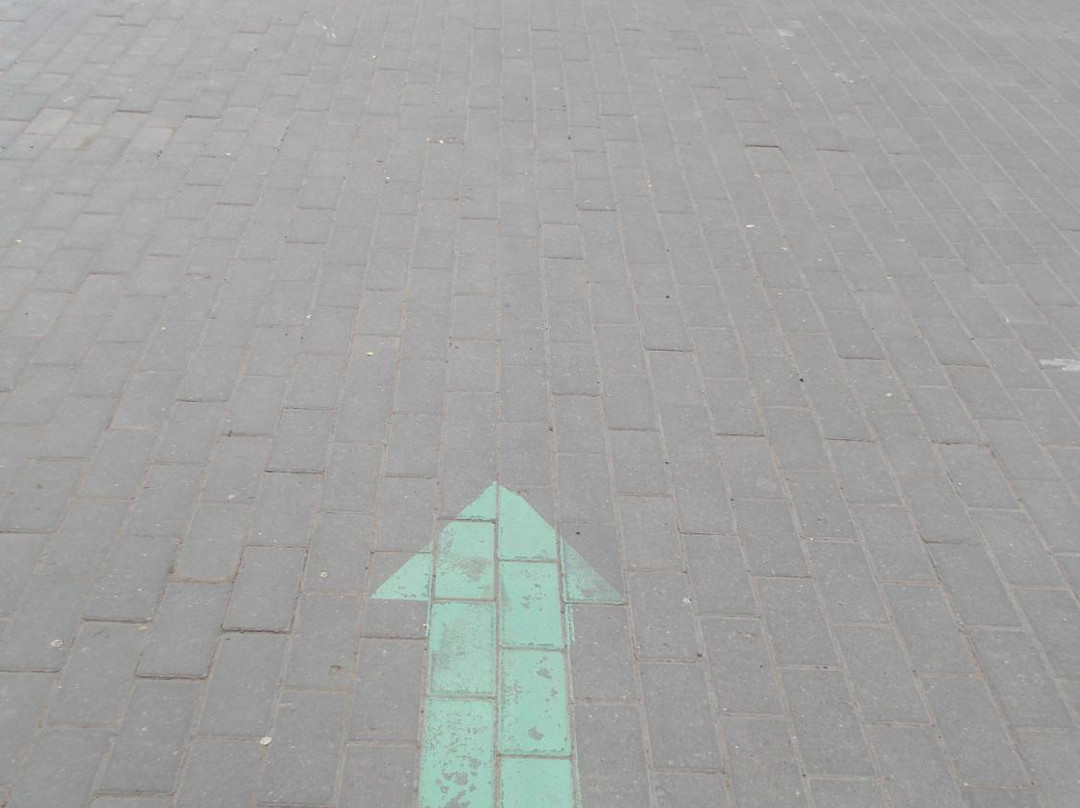 Zelyonaya Strela-阿斯特拉罕必去景点