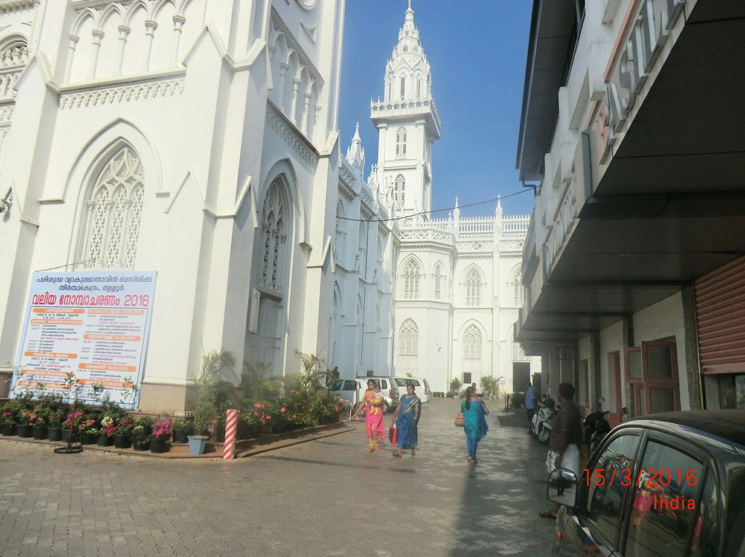 Bible Tower景点图片