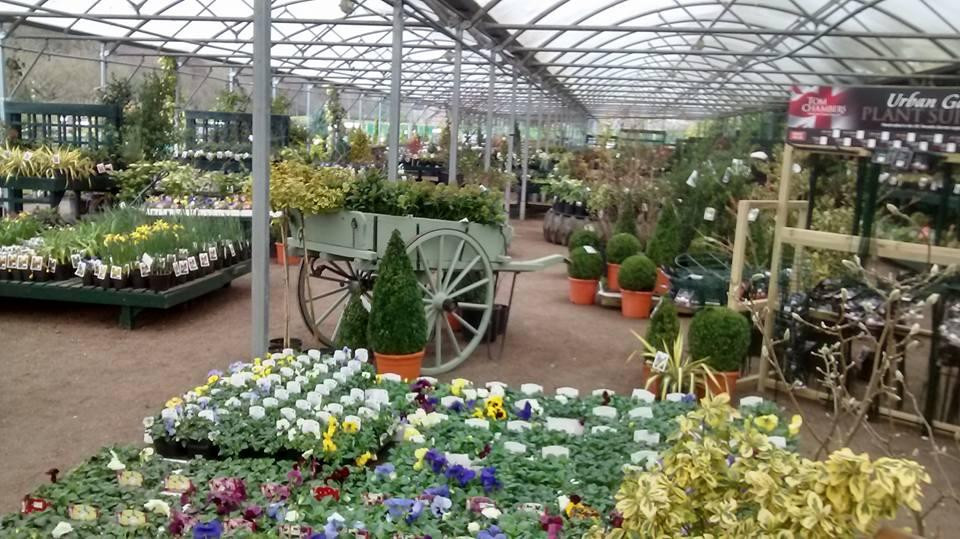 Jacksons Nurseries-Bagnall必去景点
