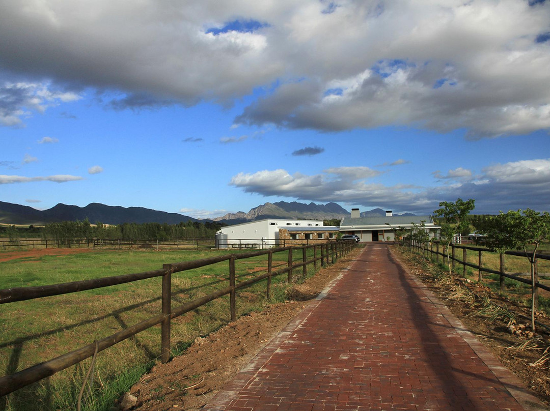Robertson酒店住宿-Galloway Guest House