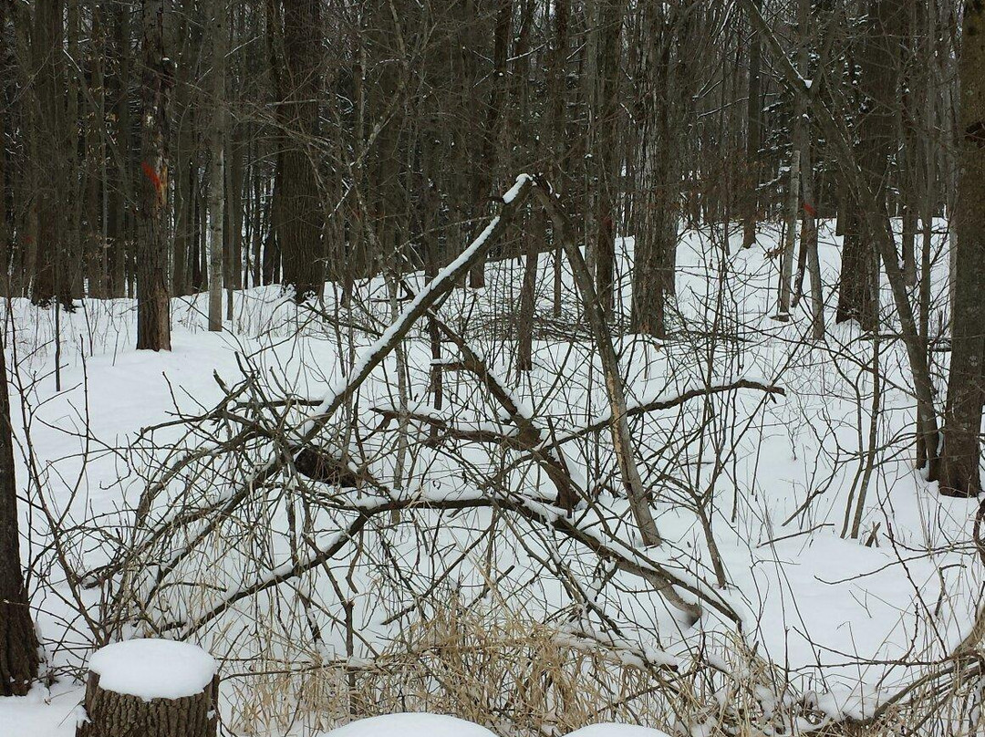 Riveredge Nature Center-Saukville必去景点