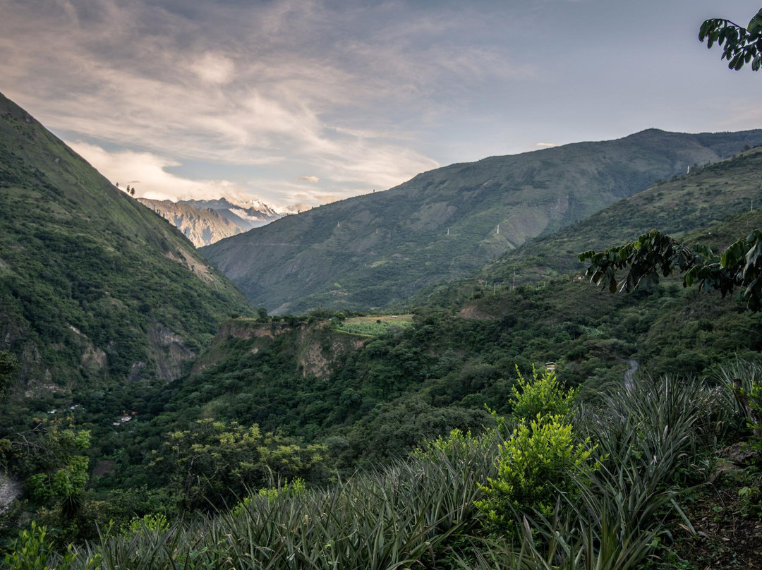 Quellomayo旅游攻略图片